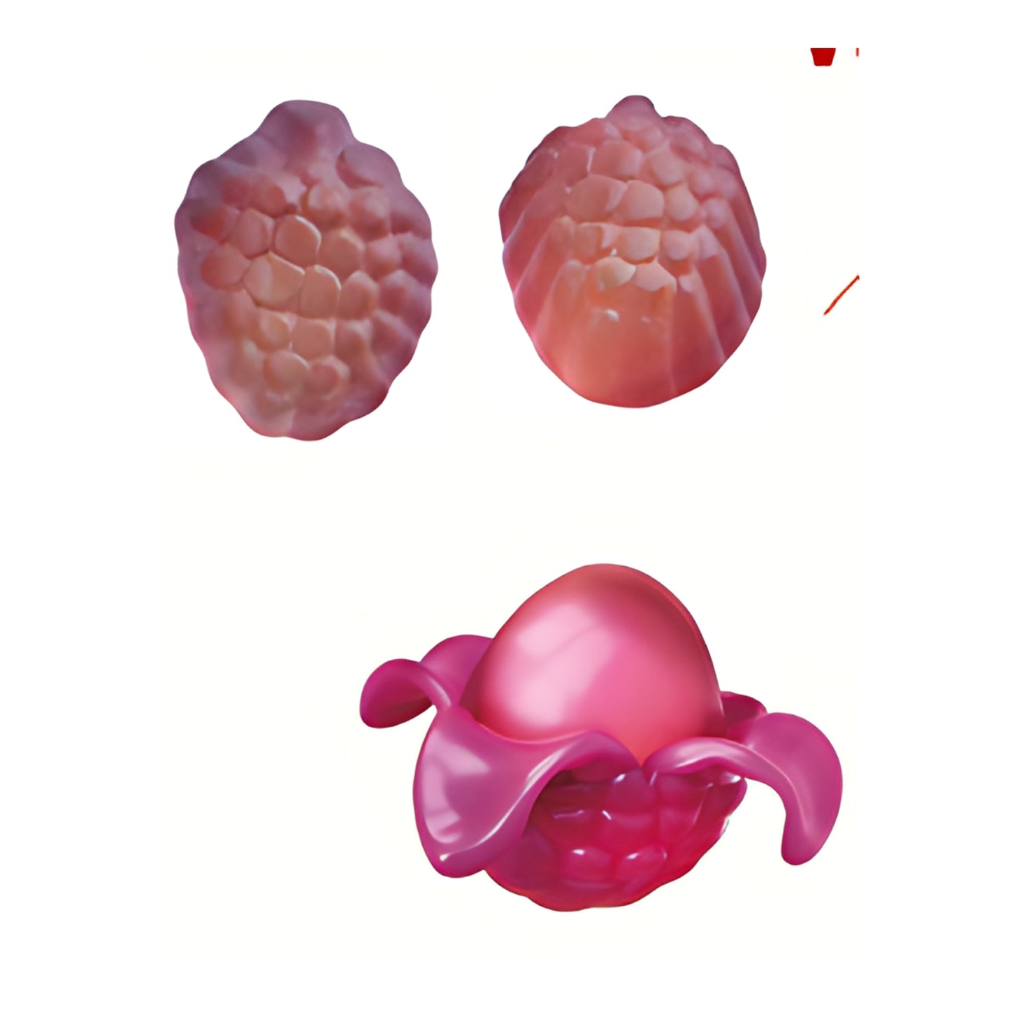 Amos Peelerz Gummy Grape Peg Bag 6oz 12ct