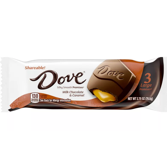 Dove Large Milk Chocolate & Caramel Promises 2.75oz 20ct