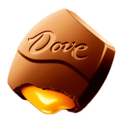 Dove Large Milk Chocolate & Caramel Promises 2.75oz 20ct