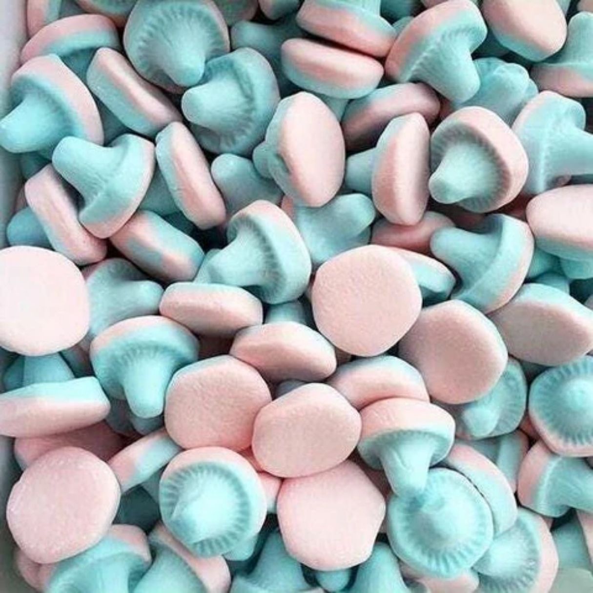 Swedish Franssons Fizzy Foamy Mushrooms Candy Bulk Bag 2.20lb