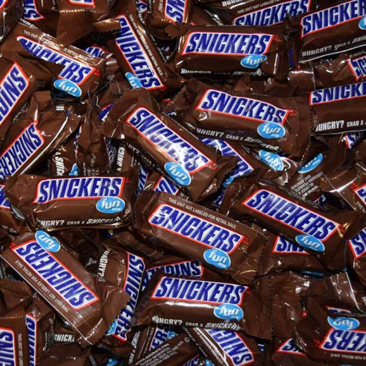 Snickers Fun Size Bulk Box - 20lb